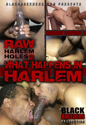 picture of Raw Harlem Holes 2
