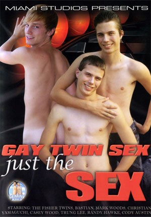 picture of Gay Twin Sex Just The Sex