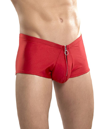 picture of Zipper Shorts
