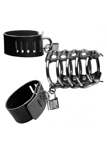 picture of Gates of Hell Chastity Device